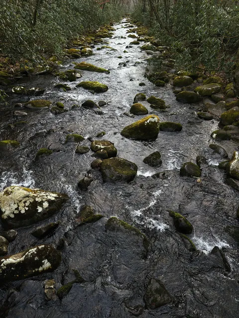 Looking down a mountain stream, water rushing white between mossy, lichen-spotted boulders.